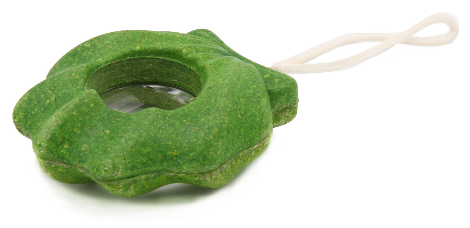 Guckauge aus Holz "Algenmuschel" Guckauge aus Holz "Algenmuschel"