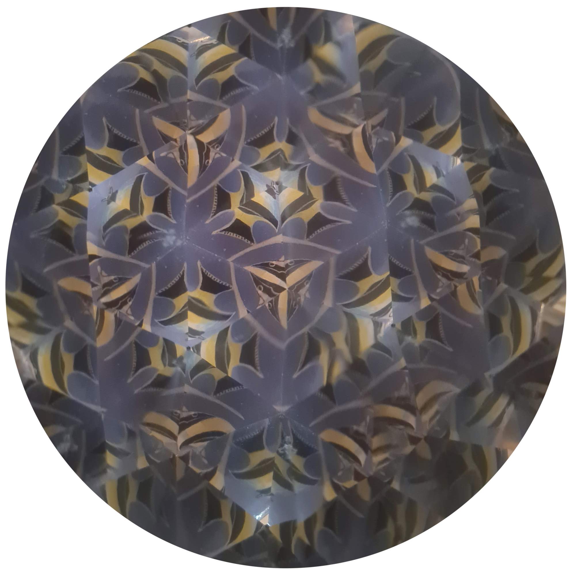 Kaleidoskop mit Drehrolle "Zebrafische"
